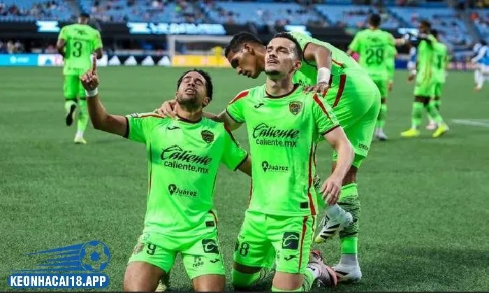 Chiến thuật soi kèo bóng đá VĐQG Mexico độc quyền